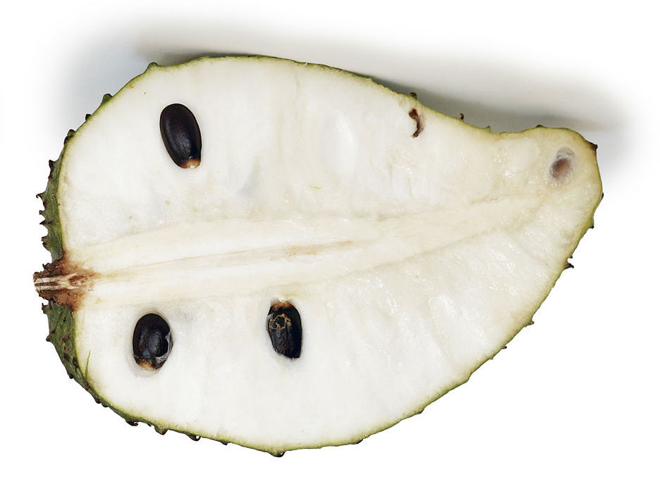 Ripe Soursop